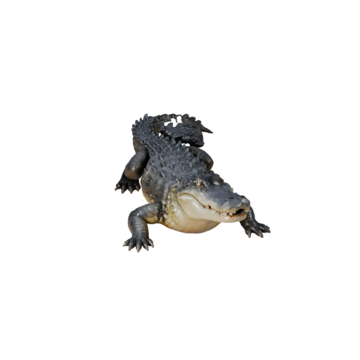 Modèle 3D d'Alligator pour Unity - Actif prêt pour le jeu, FBX | Libre de droits