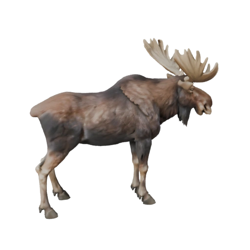 High Poly Moose 3D Model - Detailed STL Asset for Printing