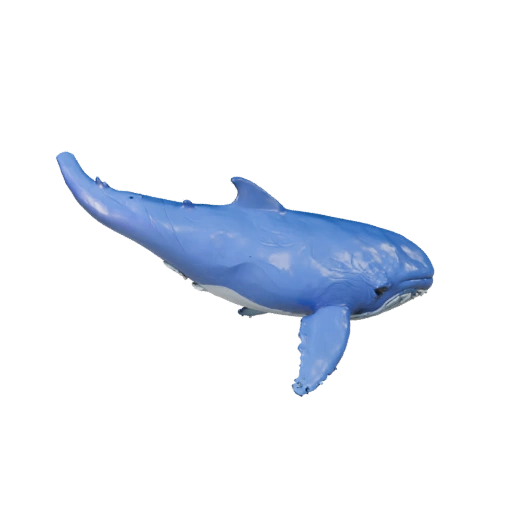 Modelo 3D Baleia Azul para Unity - Asset Pronto para Jogo, FBX | Livre de Royalties