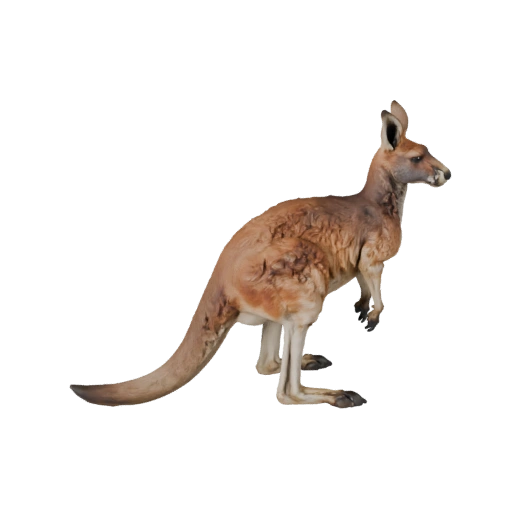 Realistic Kangaroo 3D Model - Rigged PBR Asset for Games | PBR
